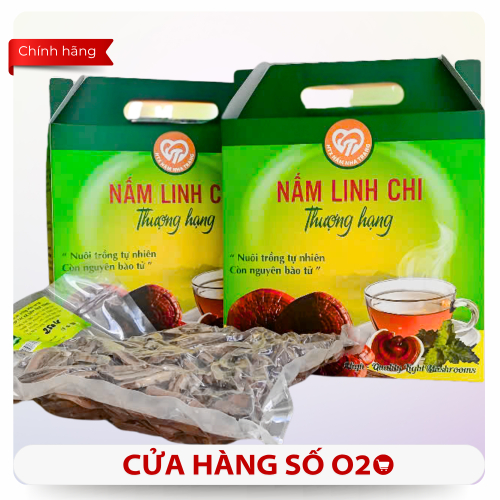 Nấm Linh Chi Thượng Hạng Hộp 500g