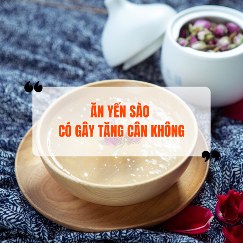 Ăn yến sào có gây tăng cân không? Sử dụng yến sào thường xuyên có tốt không?